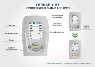 СКЭНАР-1-НТ (исполнение 01)  в Талице купить Нейродэнс ПКМ официальный сайт - denasdevice.ru 